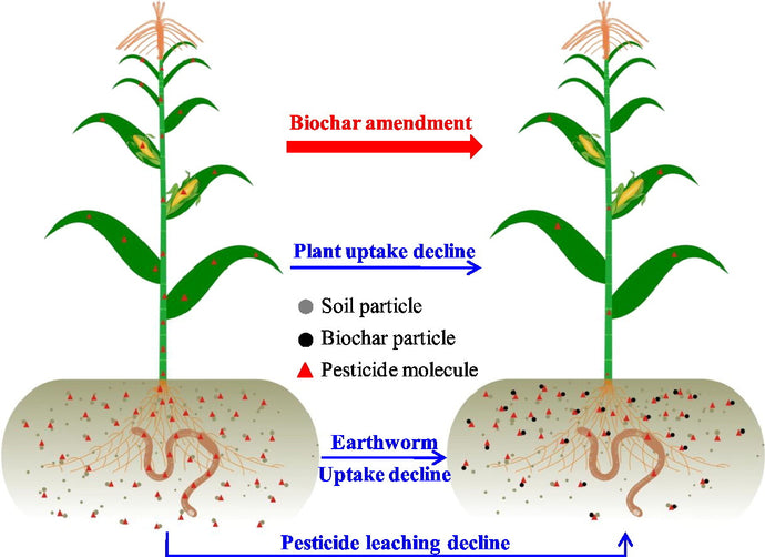 Mitigating herbicide pollution with Biochar