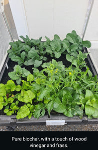 Lysterfield's Living Lab: Green Man Char Fuels Astounding Wicking Bed Success!
