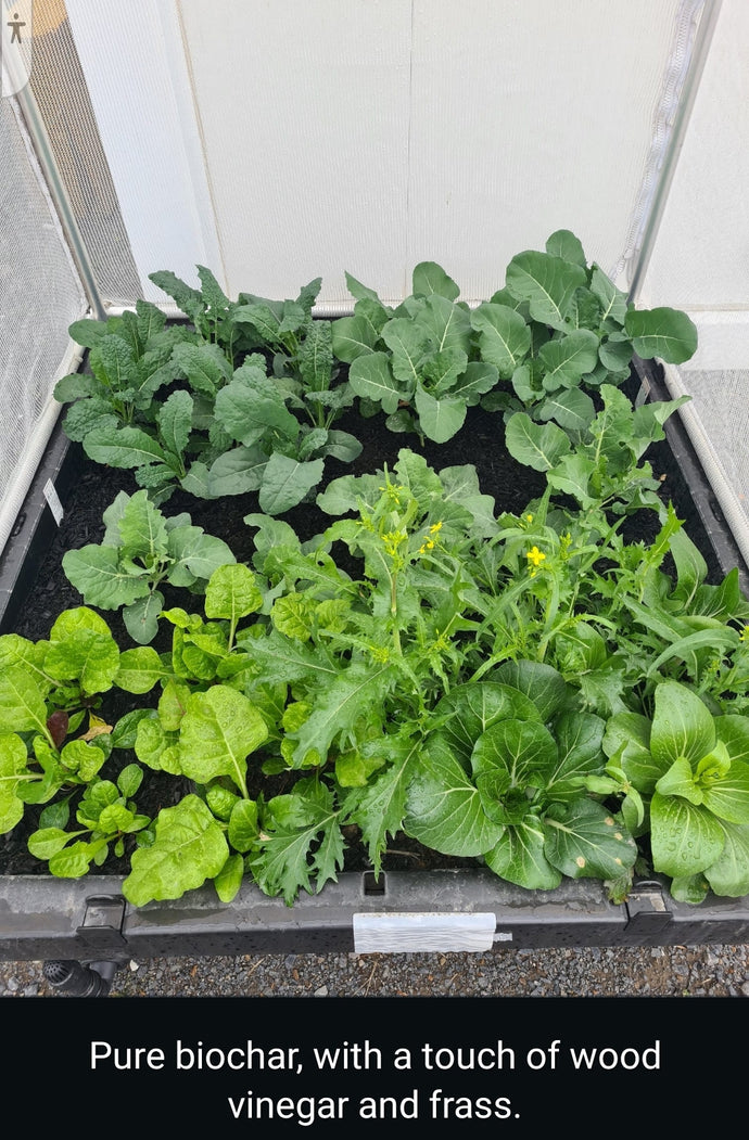Lysterfield's Living Lab: Green Man Char Fuels Astounding Wicking Bed Success!