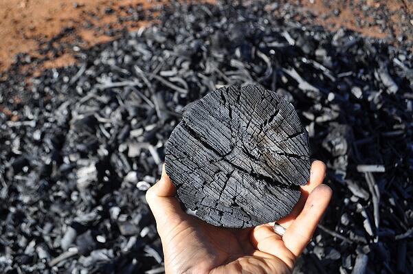 What's all the fuss over biochar?